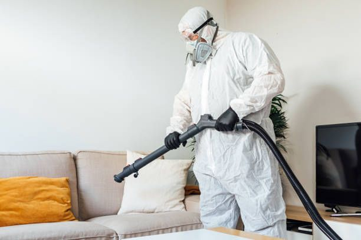 Best Quality Bed Bugs Control Service provider in delhi ncr